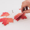 Sticky Leaf Maple Sticky Notes - Mimoto Japanese Homewares & Design