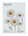 Sticky Notes Daisies White