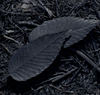 Ha Ko Leaf Japanese Incense - Black