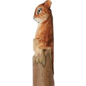 Animal Wood Pen Squirrel