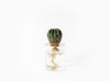 TERRA LID of VISION GLASS Vase with brass lid - Mimoto Japanese Homewares & Design