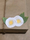 Sticky Notes Camellia White